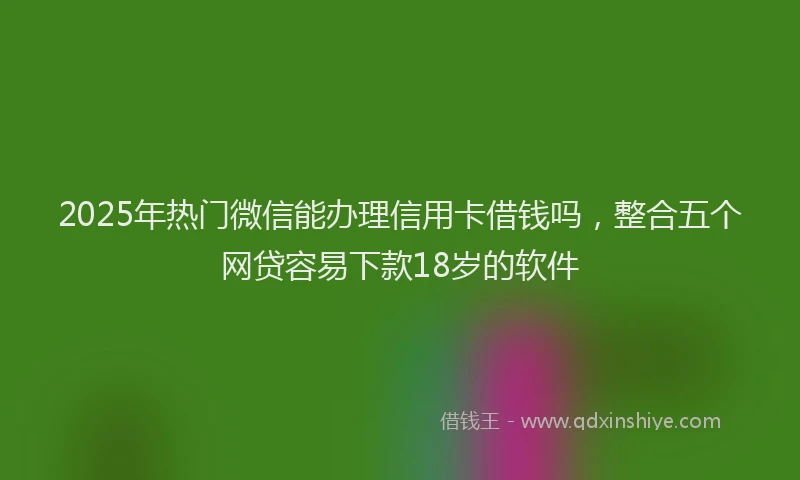 2025年热门微信能办理信用卡借钱吗，整合五个网贷容易下款18岁的软件