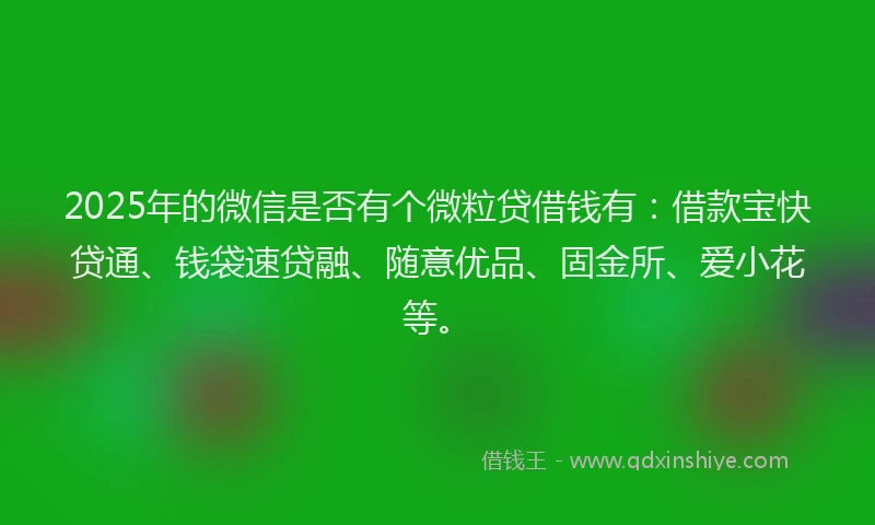 2025年的微信是否有个微粒贷借钱有：借款宝快贷通、钱袋速贷融、随意优品、固金所、爱小花等。