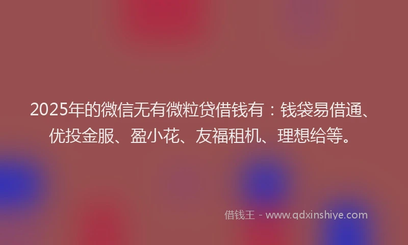 2025年的微信无有微粒贷借钱有：钱袋易借通、优投金服、盈小花、友福租机、理想给等。