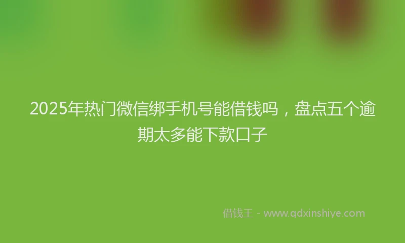 2025年热门微信绑手机号能借钱吗，盘点五个逾期太多能下款口子
