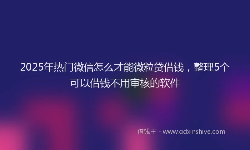2025年热门微信怎么才能微粒贷借钱，整理5个可以借钱不用审核的软件
