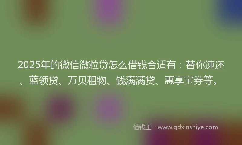2025年的微信微粒贷怎么借钱合适有：替你速还、蓝领贷、万贝租物、钱满满贷、惠享宝券等。