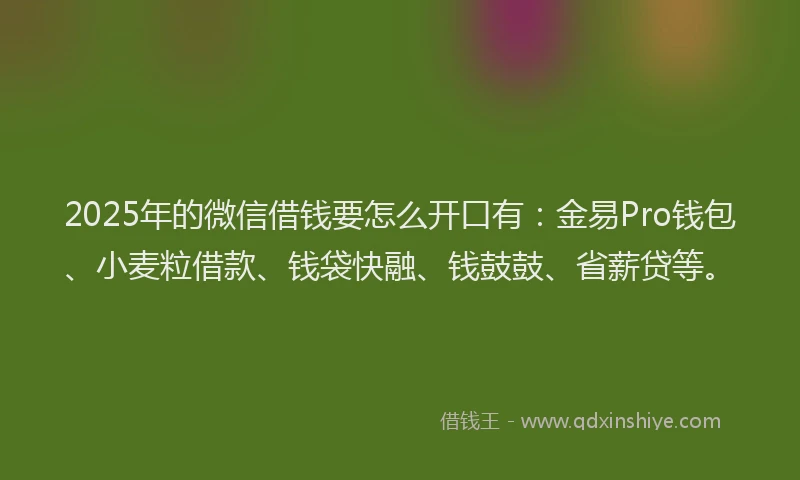 2025年的微信借钱要怎么开口有：金易Pro钱包、小麦粒借款、钱袋快融、钱鼓鼓、省薪贷等。