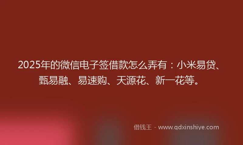 2025年的微信电子签借款怎么弄有：小米易贷、甄易融、易速购、天源花、新一花等。