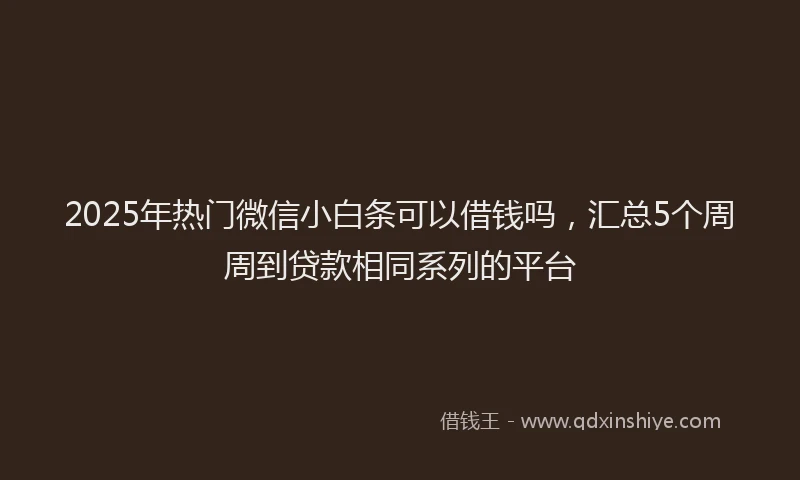 2025年热门微信小白条可以借钱吗，汇总5个周周到贷款相同系列的平台