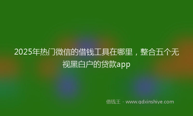 2025年热门微信的借钱工具在哪里，整合五个无视黑白户的贷款app