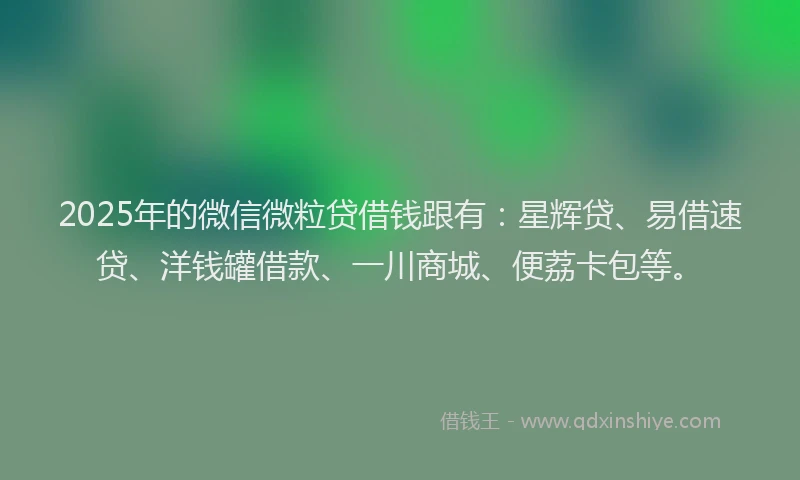 2025年的微信微粒贷借钱跟有：星辉贷、易借速贷、洋钱罐借款、一川商城、便荔卡包等。