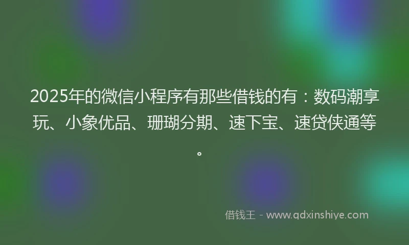 2025年的微信小程序有那些借钱的有：数码潮享玩、小象优品、珊瑚分期、速下宝、速贷侠通等。