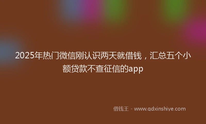 2025年热门微信刚认识两天就借钱，汇总五个小额贷款不查征信的app