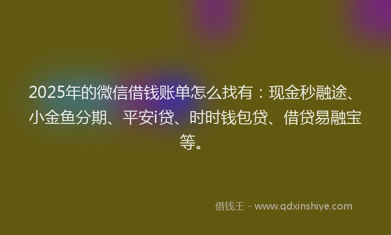 2025年的微信借钱账单怎么找有：现金秒融途、小金鱼分期、平安i贷、时时钱包贷、借贷易融宝等。
