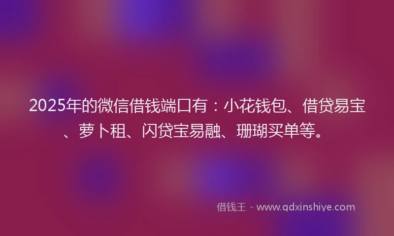 2025年的微信借钱端口有：小花钱包、借贷易宝、萝卜租、闪贷宝易融、珊瑚买单等。