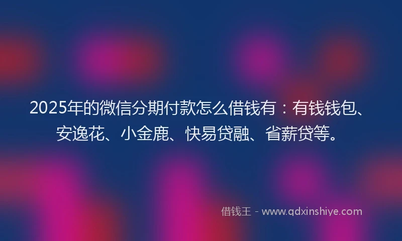 2025年的微信分期付款怎么借钱有：有钱钱包、安逸花、小金鹿、快易贷融、省薪贷等。