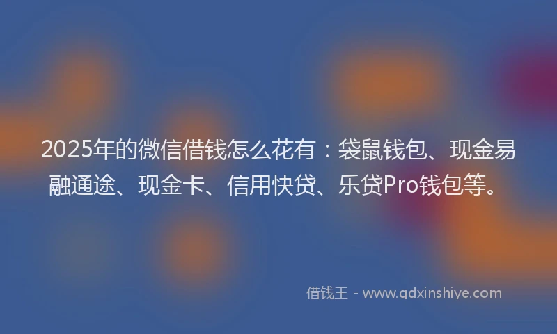 2025年的微信借钱怎么花有：袋鼠钱包、现金易融通途、现金卡、信用快贷、乐贷Pro钱包等。