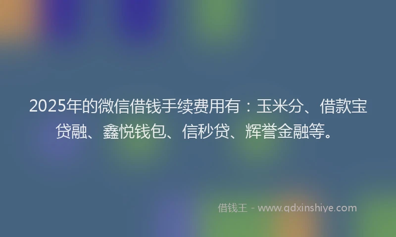 2025年的微信借钱手续费用有：玉米分、借款宝贷融、鑫悦钱包、信秒贷、辉誉金融等。
