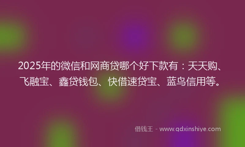 2025年的微信和网商贷哪个好下款有：天天购、飞融宝、鑫贷钱包、快借速贷宝、蓝鸟信用等。