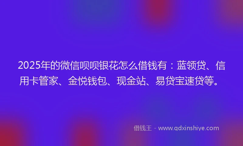 2025年的微信呗呗银花怎么借钱有：蓝领贷、信用卡管家、金悦钱包、现金站、易贷宝速贷等。