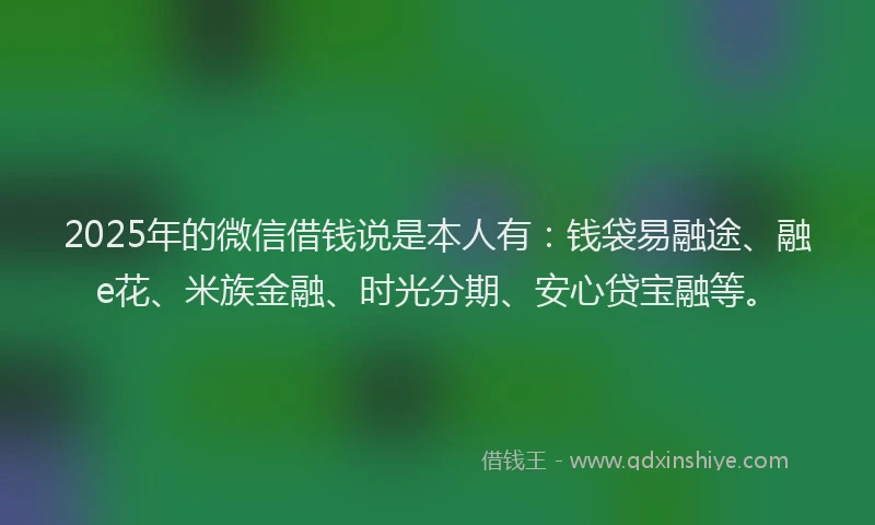 2025年的微信借钱说是本人有：钱袋易融途、融e花、米族金融、时光分期、安心贷宝融等。