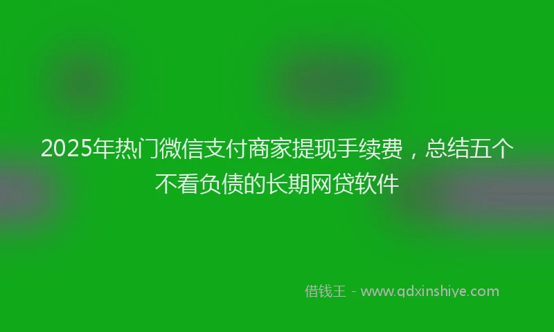 2025年热门微信支付商家提现手续费，总结五个不看负债的长期网贷软件