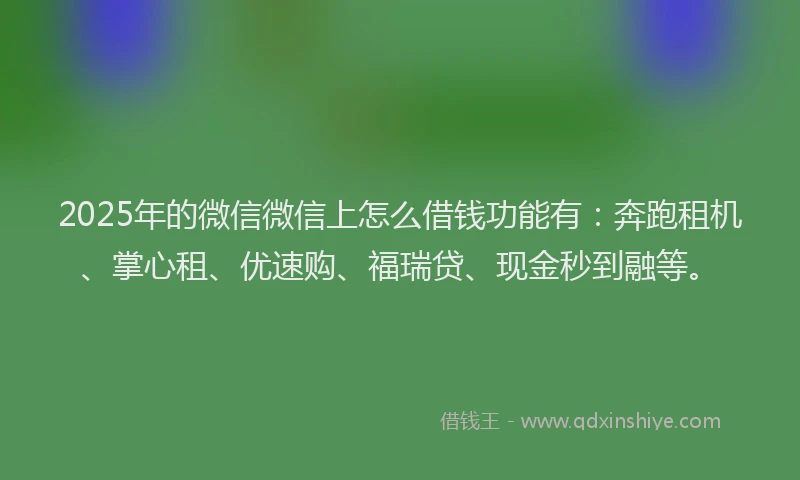 2025年的微信微信上怎么借钱功能有：奔跑租机、掌心租、优速购、福瑞贷、现金秒到融等。