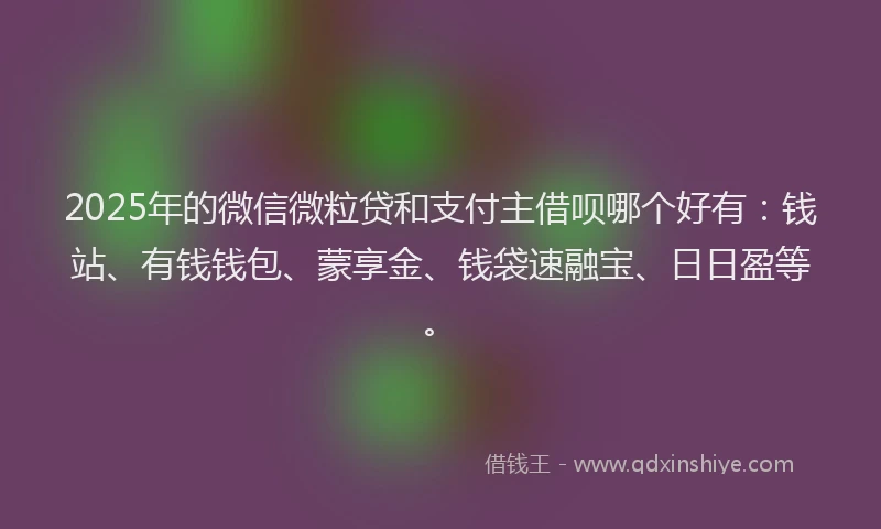 2025年的微信微粒贷和支付主借呗哪个好有：钱站、有钱钱包、蒙享金、钱袋速融宝、日日盈等。