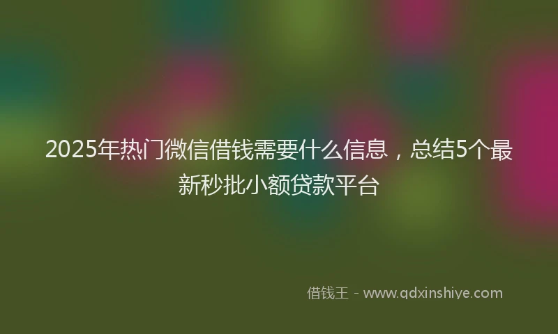 2025年热门微信借钱需要什么信息，总结5个最新秒批小额贷款平台