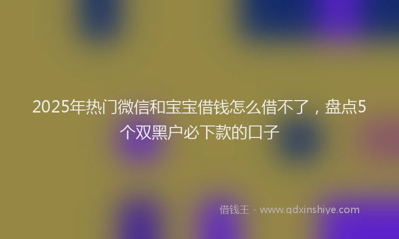 2025年热门微信和宝宝借钱怎么借不了，盘点5个双黑户必下款的口子
