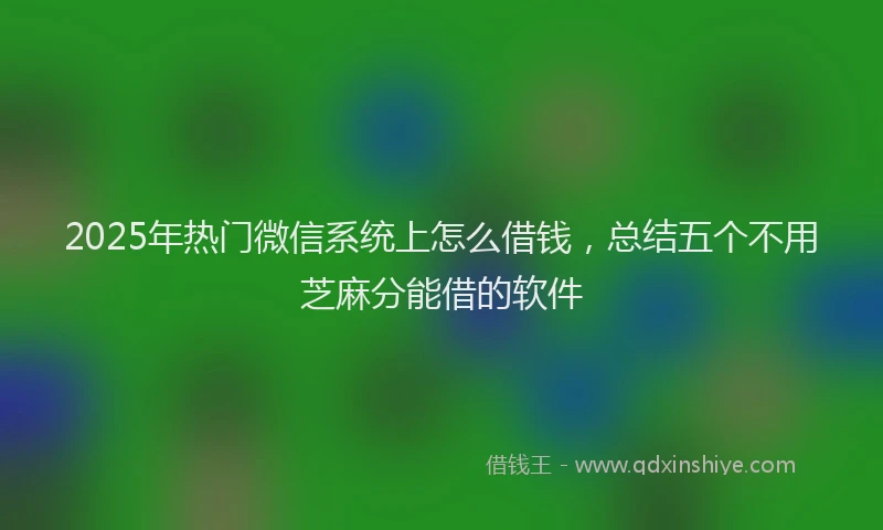 2025年热门微信系统上怎么借钱，总结五个不用芝麻分能借的软件