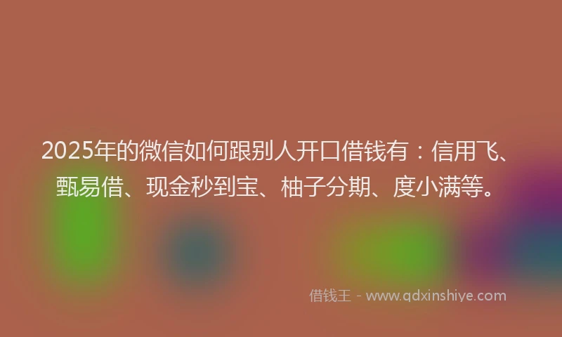 2025年的微信如何跟别人开口借钱有：信用飞、甄易借、现金秒到宝、柚子分期、度小满等。