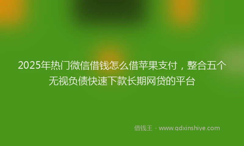 2025年热门微信借钱怎么借苹果支付，整合五个无视负债快速下款长期网贷的平台
