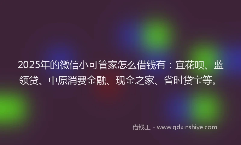 2025年的微信小可管家怎么借钱有：宜花呗、蓝领贷、中原消费金融、现金之家、省时贷宝等。