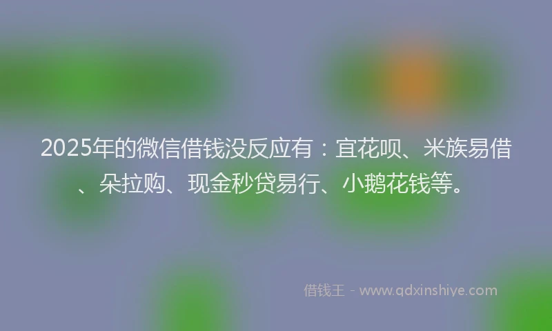 2025年的微信借钱没反应有：宜花呗、米族易借、朵拉购、现金秒贷易行、小鹅花钱等。