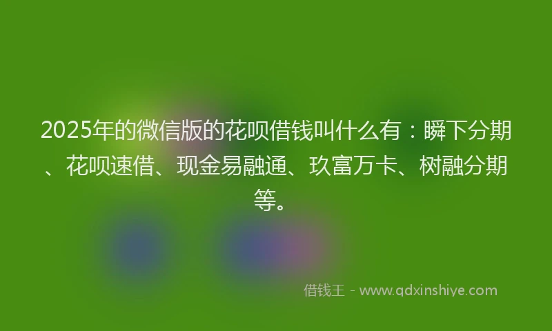 2025年的微信版的花呗借钱叫什么有：瞬下分期、花呗速借、现金易融通、玖富万卡、树融分期等。