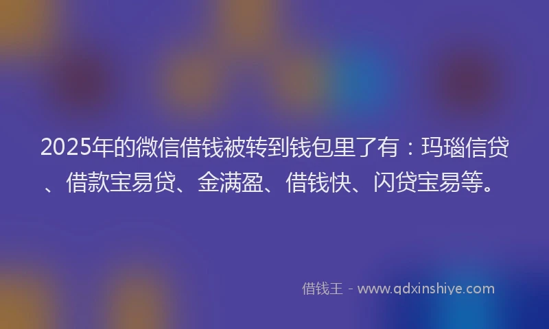 2025年的微信借钱被转到钱包里了有：玛瑙信贷、借款宝易贷、金满盈、借钱快、闪贷宝易等。