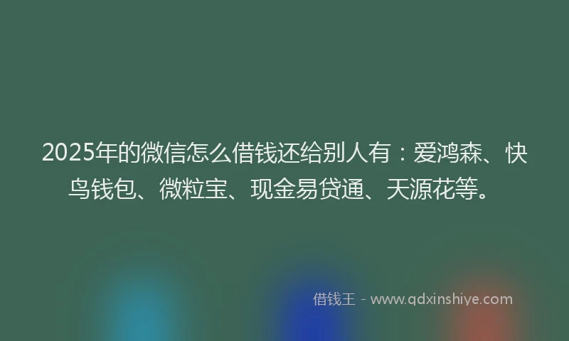 2025年的微信怎么借钱还给别人有：爱鸿森、快鸟钱包、微粒宝、现金易贷通、天源花等。