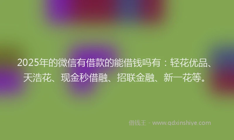 2025年的微信有借款的能借钱吗有：轻花优品、天浩花、现金秒借融、招联金融、新一花等。