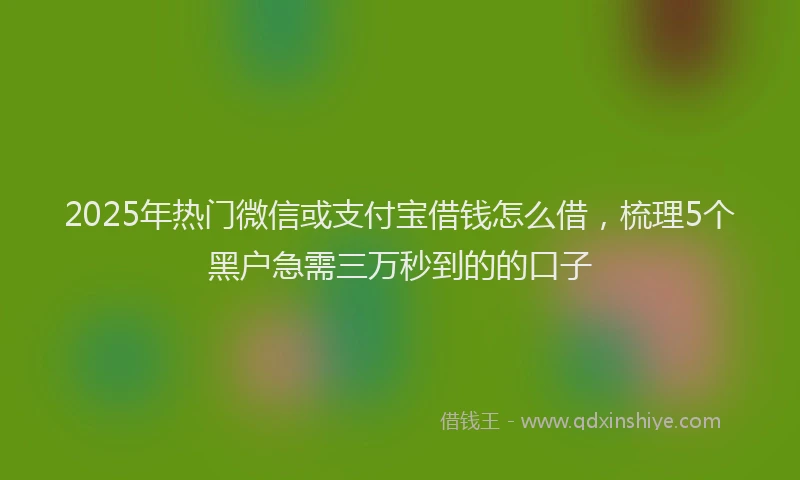 2025年热门微信或支付宝借钱怎么借，梳理5个黑户急需三万秒到的的口子