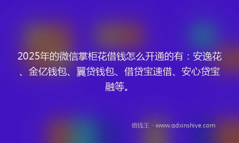 2025年的微信掌柜花借钱怎么开通的有：安逸花、金亿钱包、翼贷钱包、借贷宝速借、安心贷宝融等。