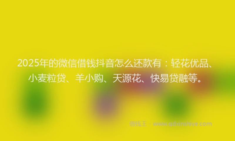 2025年的微信借钱抖音怎么还款有：轻花优品、小麦粒贷、羊小购、天源花、快易贷融等。