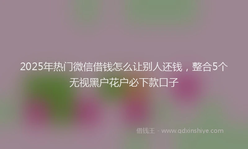 2025年热门微信借钱怎么让别人还钱，整合5个无视黑户花户必下款口子