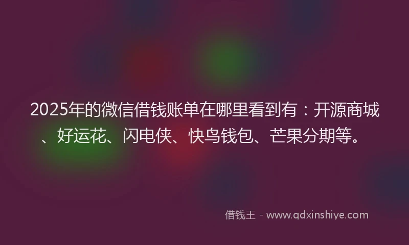 2025年的微信借钱账单在哪里看到有：开源商城、好运花、闪电侠、快鸟钱包、芒果分期等。