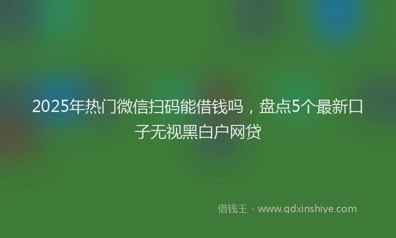 2025年热门微信扫码能借钱吗，盘点5个最新口子无视黑白户网贷
