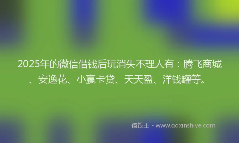 2025年的微信借钱后玩消失不理人有：腾飞商城、安逸花、小赢卡贷、天天盈、洋钱罐等。