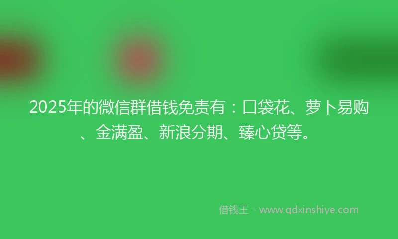 2025年的微信群借钱免责有：口袋花、萝卜易购、金满盈、新浪分期、臻心贷等。