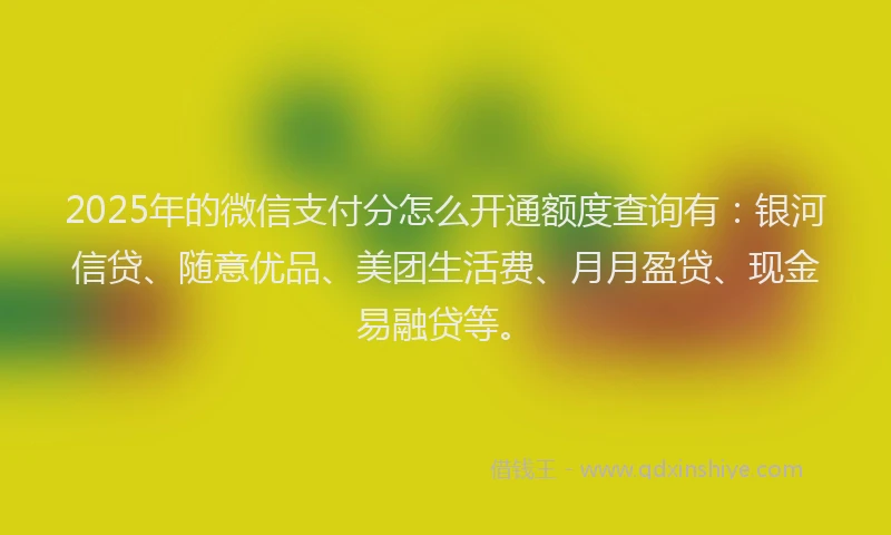 2025年的微信支付分怎么开通额度查询有：银河信贷、随意优品、美团生活费、月月盈贷、现金易融贷等。