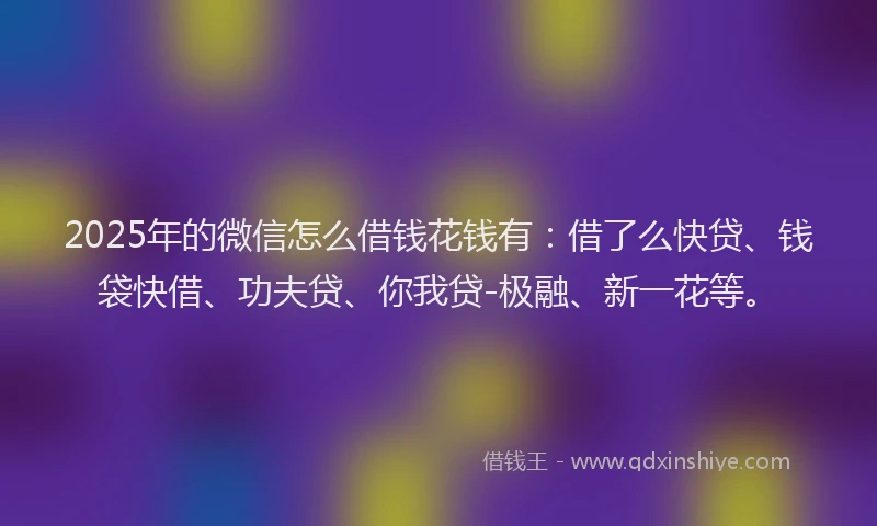 2025年的微信怎么借钱花钱有：借了么快贷、钱袋快借、功夫贷、你我贷-极融、新一花等。