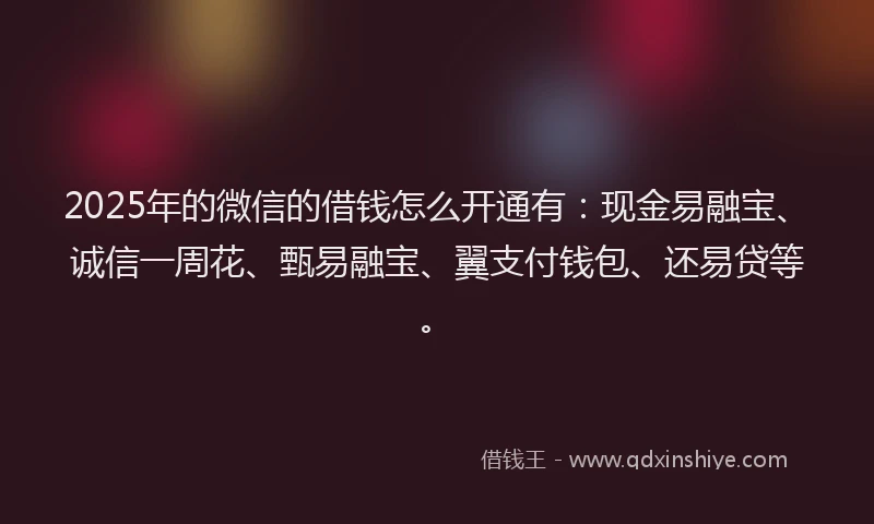 2025年的微信的借钱怎么开通有：现金易融宝、诚信一周花、甄易融宝、翼支付钱包、还易贷等。