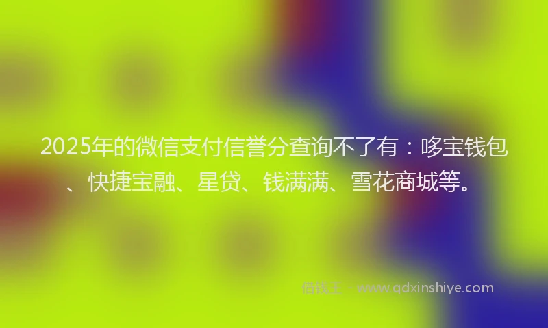 2025年的微信支付信誉分查询不了有：哆宝钱包、快捷宝融、星贷、钱满满、雪花商城等。