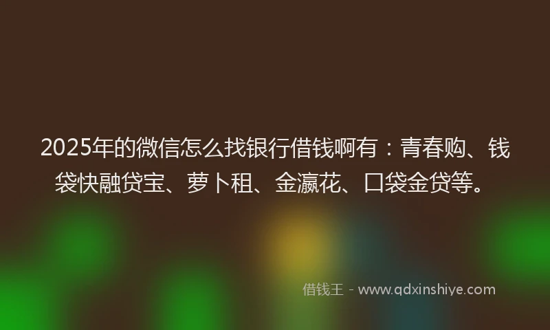 2025年的微信怎么找银行借钱啊有：青春购、钱袋快融贷宝、萝卜租、金瀛花、口袋金贷等。