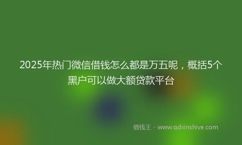 2025年热门微信借钱怎么都是万五呢，概括5个黑户可以做大额贷款平台
