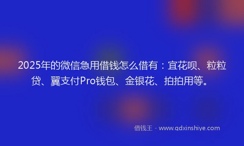 2025年的微信急用借钱怎么借有：宜花呗、粒粒贷、翼支付Pro钱包、金银花、拍拍用等。